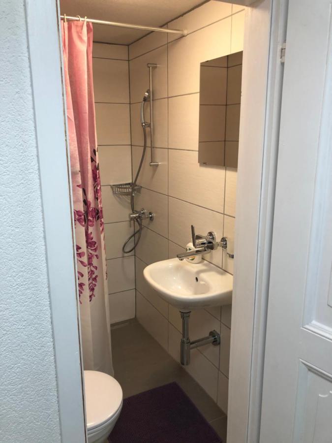 Villa Matten 1 Matten bei Interlaken エクステリア 写真